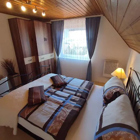 Apartment In - Balaton 43602