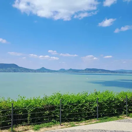 In - Balaton 43602 *